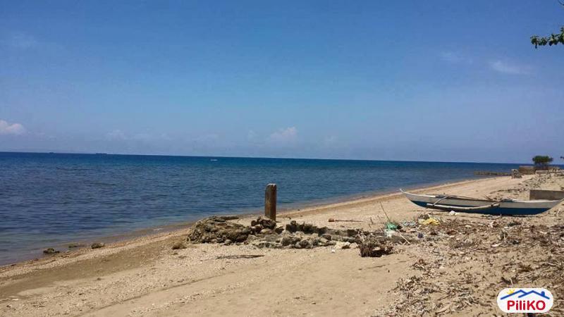 Commercial Lot for sale in Cebu City - image 8