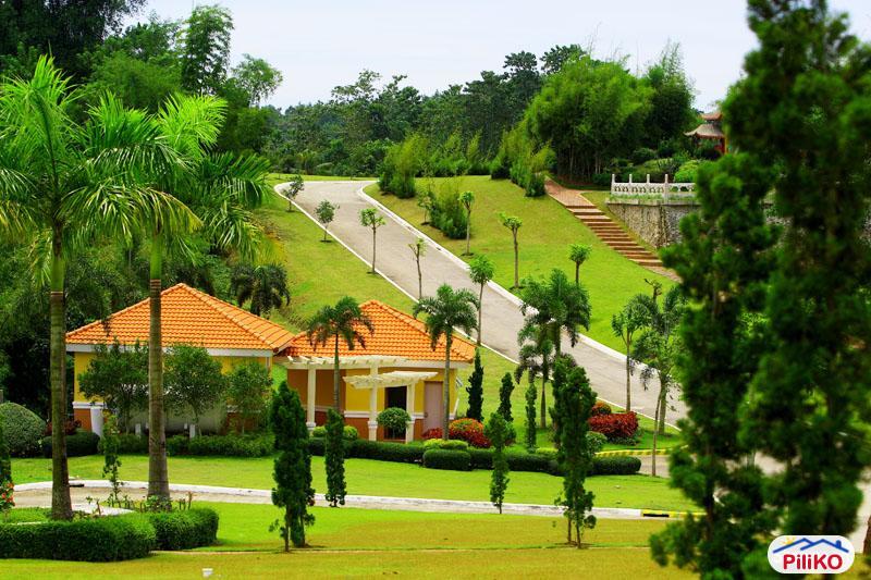 Other lots for sale in Cebu City - image 2