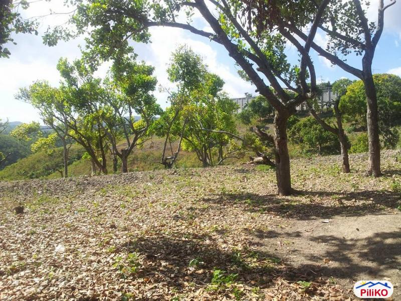 Picture of Residential Lot for sale in Talisay