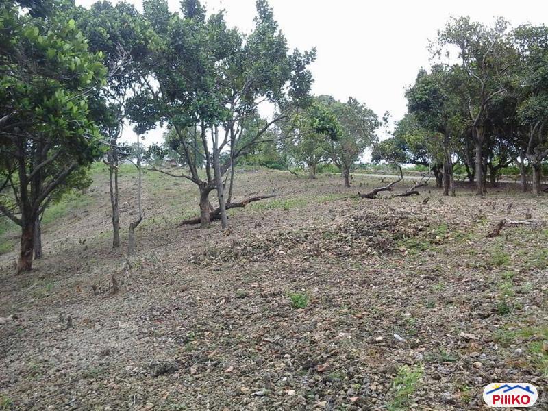 Pictures of Residential Lot for sale in Talisay
