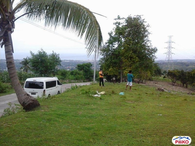Pictures of Residential Lot for sale in Talisay