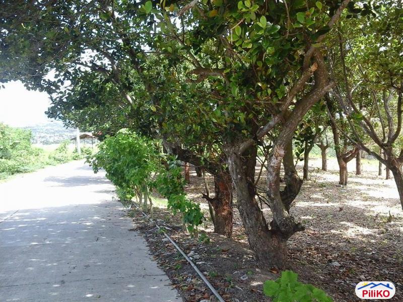 Picture of Residential Lot for sale in Talisay