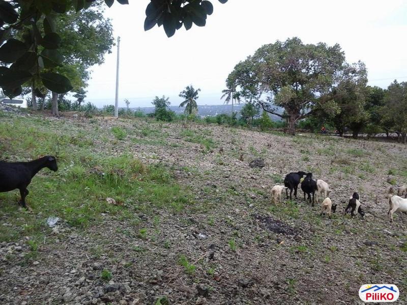 Pictures of Residential Lot for sale in Talisay