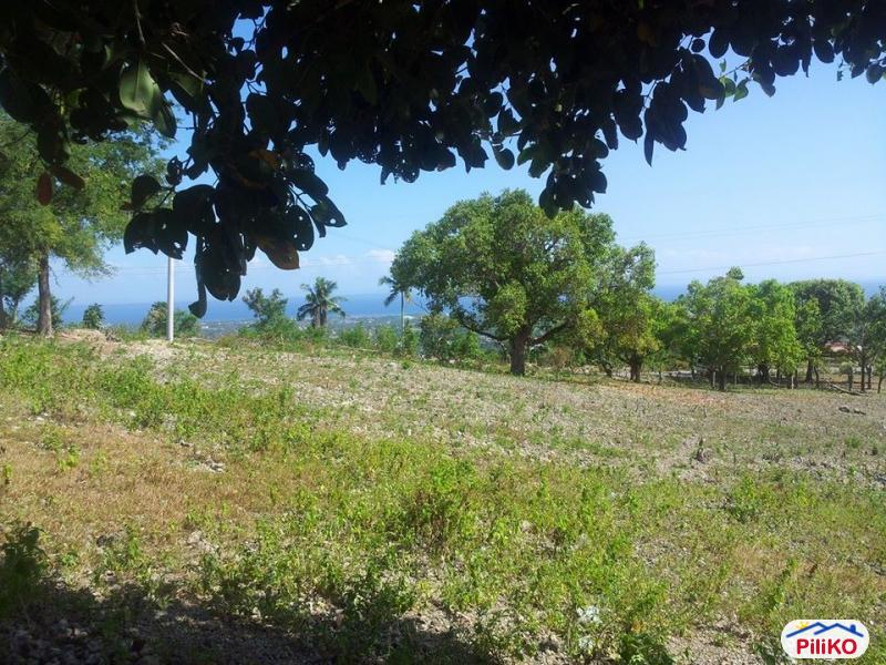 Pictures of Residential Lot for sale in Talisay