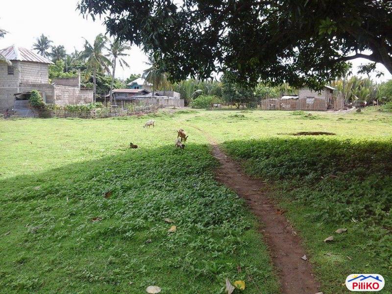 Pictures of Residential Lot for sale in Talisay