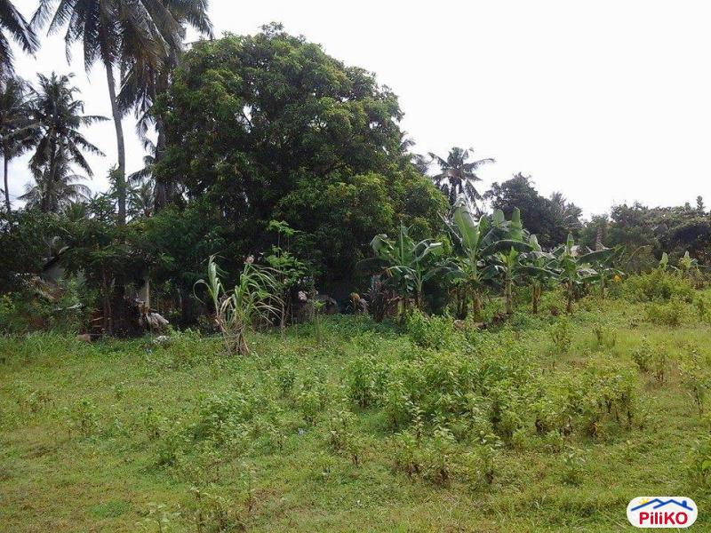 Pictures of Residential Lot for sale in Talisay