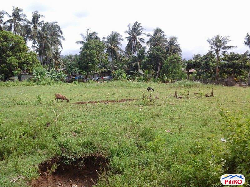 Pictures of Residential Lot for sale in Talisay