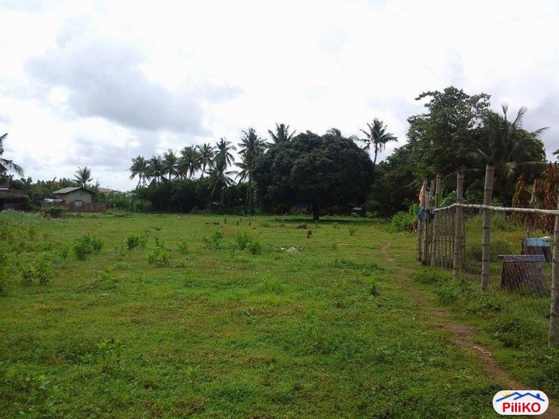 Pictures of Residential Lot for sale in Talisay