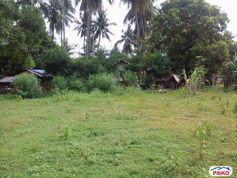 Pictures of Residential Lot for sale in Talisay