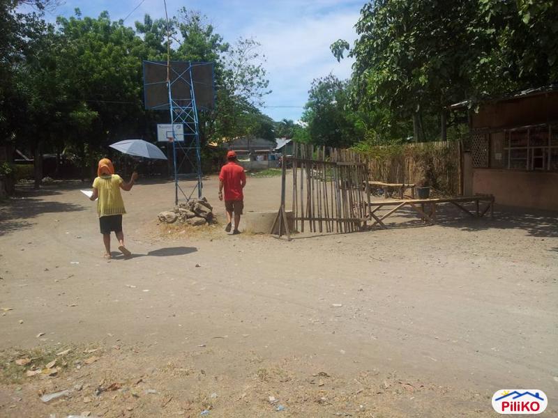 Pictures of Residential Lot for sale in Talisay