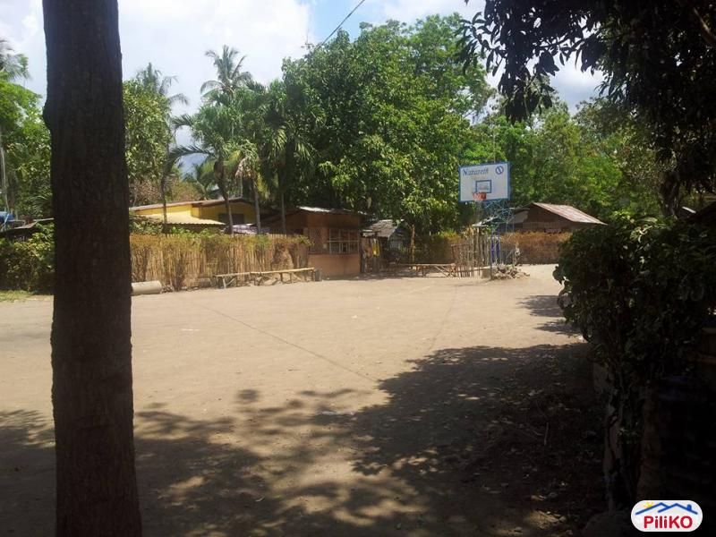 Picture of Residential Lot for sale in Talisay