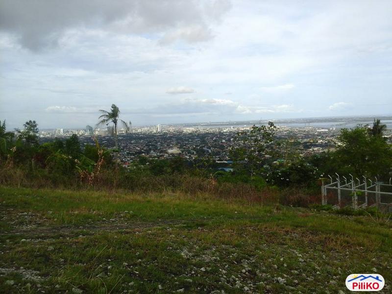Pictures of Residential Lot for sale in Talisay