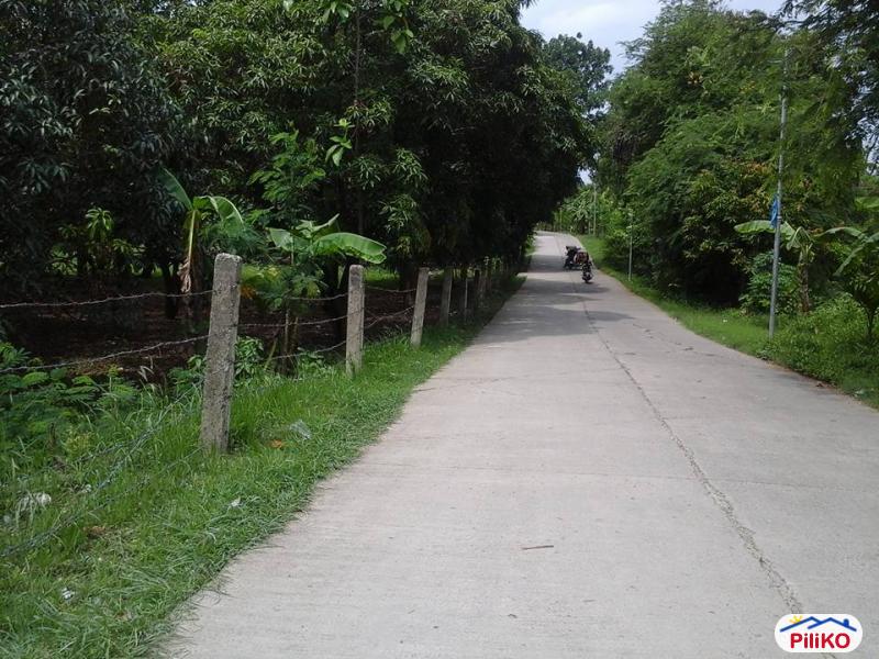 Pictures of Residential Lot for sale in Talisay
