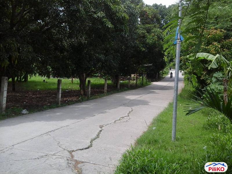 Pictures of Residential Lot for sale in Talisay