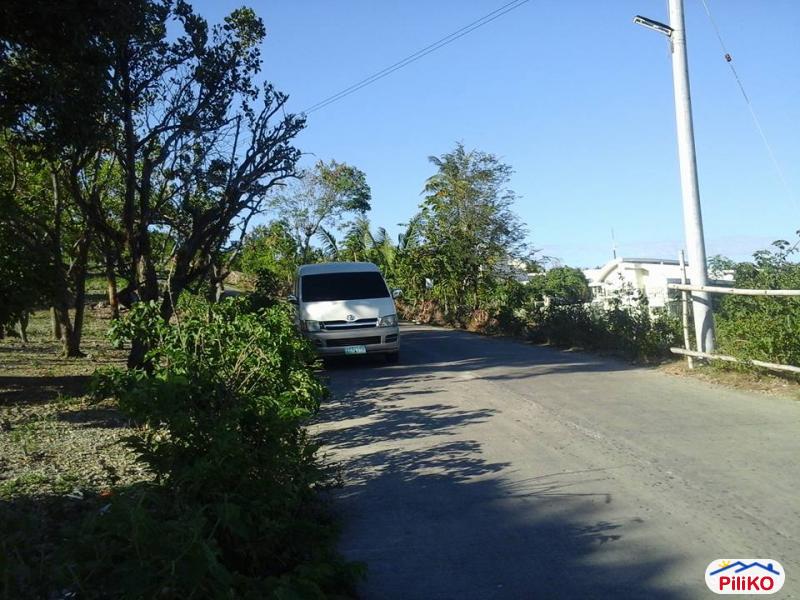 Pictures of Residential Lot for sale in Talisay