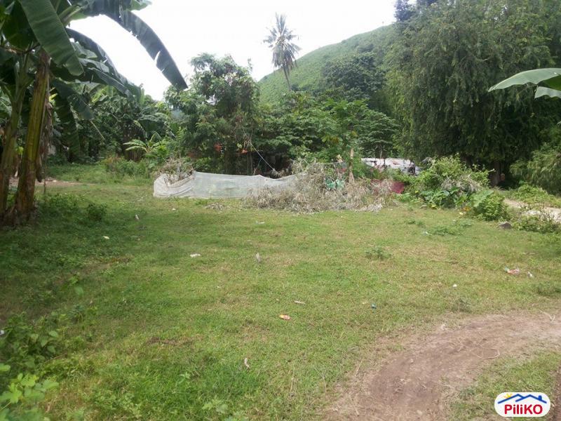 Pictures of Residential Lot for sale in Talisay