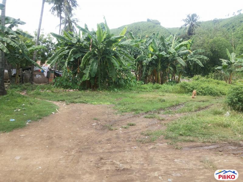 Pictures of Residential Lot for sale in Talisay