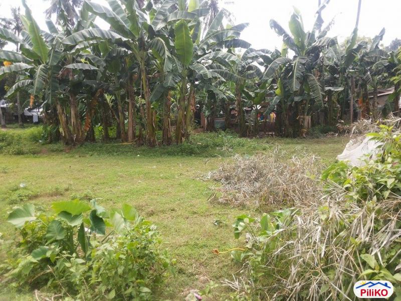 Picture of Residential Lot for sale in Talisay