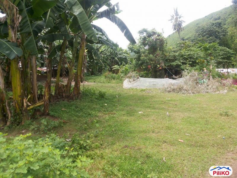 Picture of Residential Lot for sale in Talisay