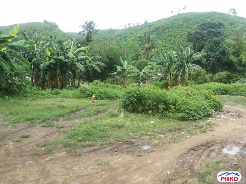 Pictures of Residential Lot for sale in Talisay
