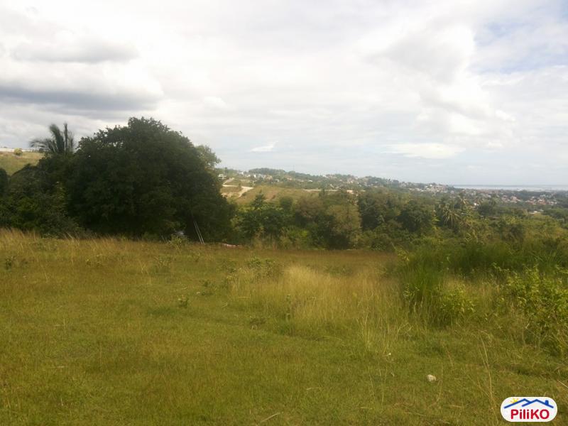 Picture of Residential Lot for sale in Talisay