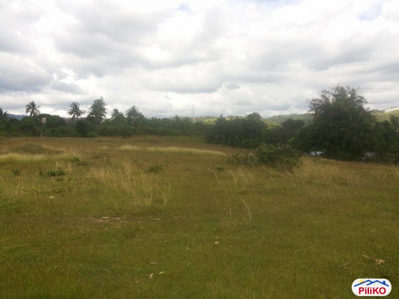 Picture of Residential Lot for sale in Talisay