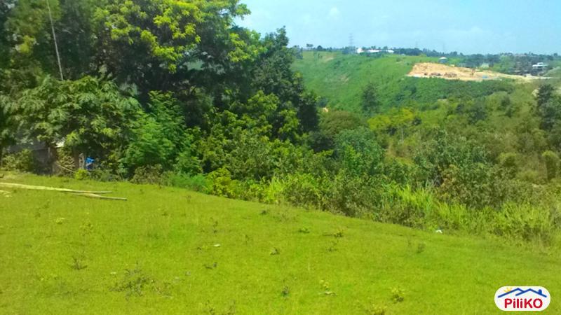 Pictures of Residential Lot for sale in Talisay