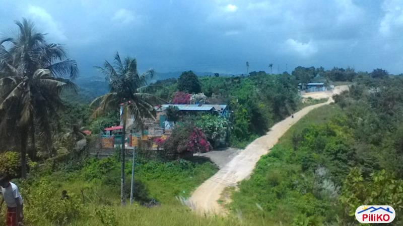 Pictures of Residential Lot for sale in Talisay