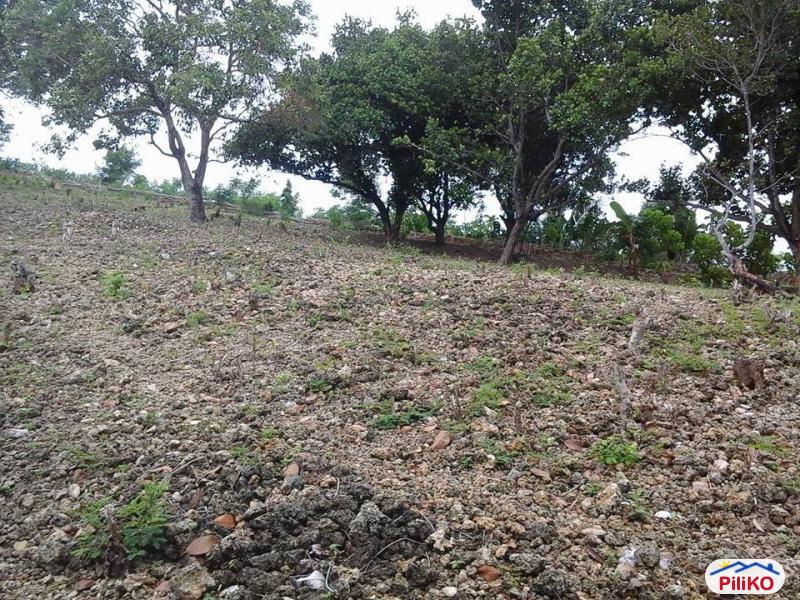 Residential Lot for sale in Talisay - image 2