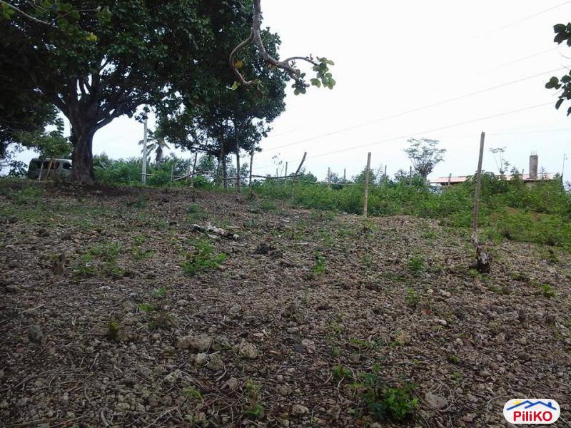 Residential Lot for sale in Talisay