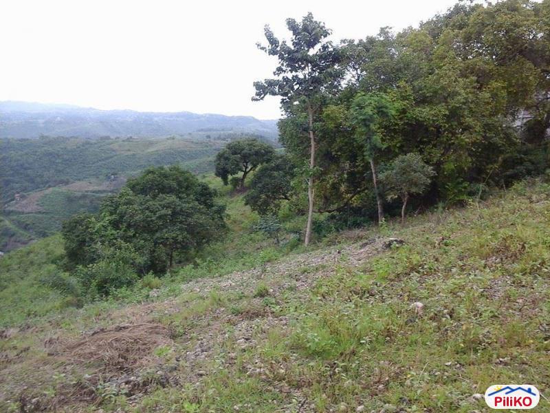 Residential Lot for sale in Talisay - image 2