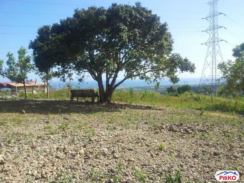 Residential Lot for sale in Talisay - image 2