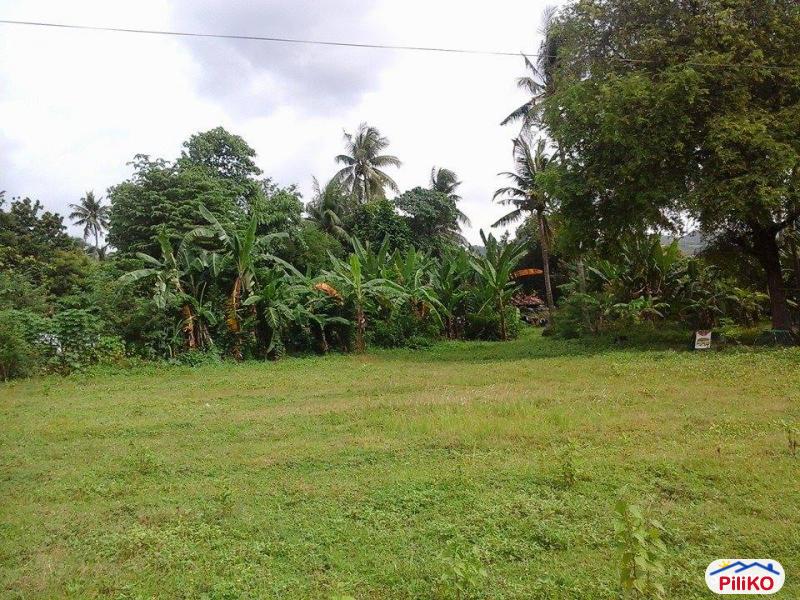 Residential Lot for sale in Talisay