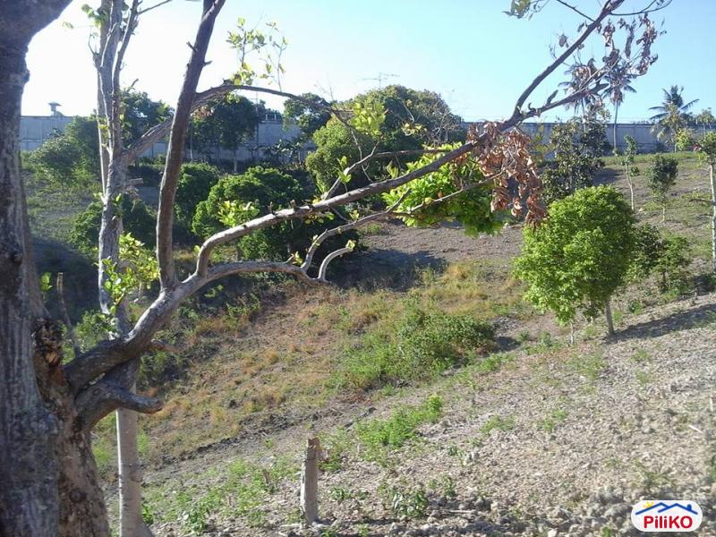 Residential Lot for sale in Talisay - image 2