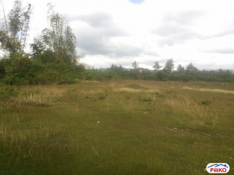 Residential Lot for sale in Talisay