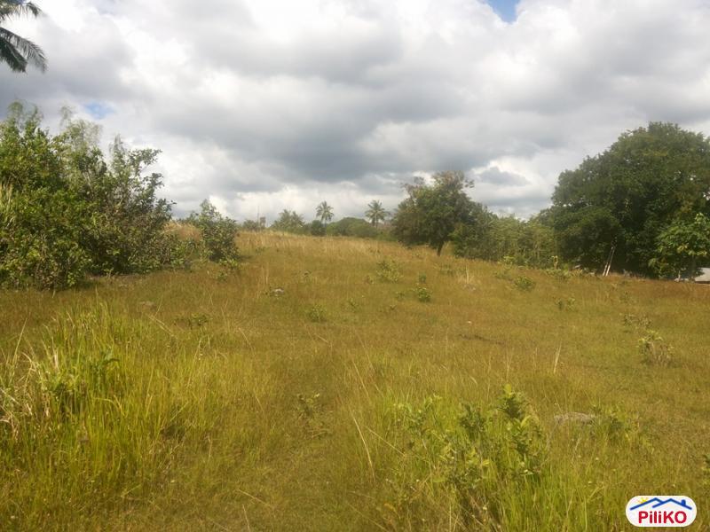 Residential Lot for sale in Talisay - image 2