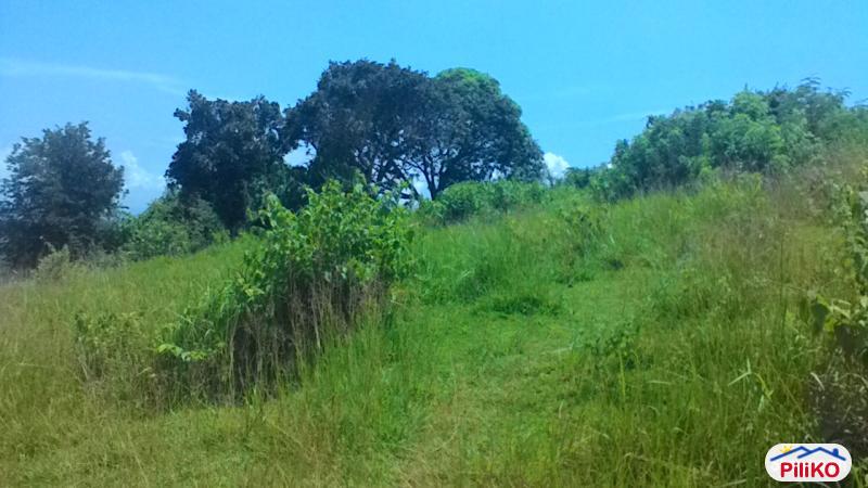 Residential Lot for sale in Talisay - image 2