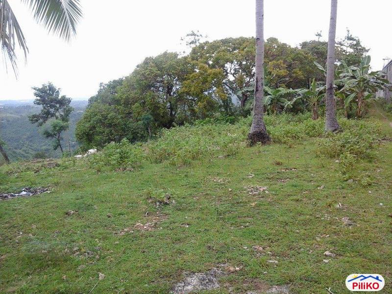 Residential Lot for sale in Talisay in Cebu