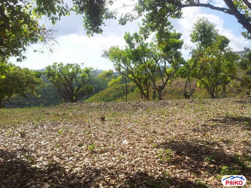 Residential Lot for sale in Talisay in Cebu