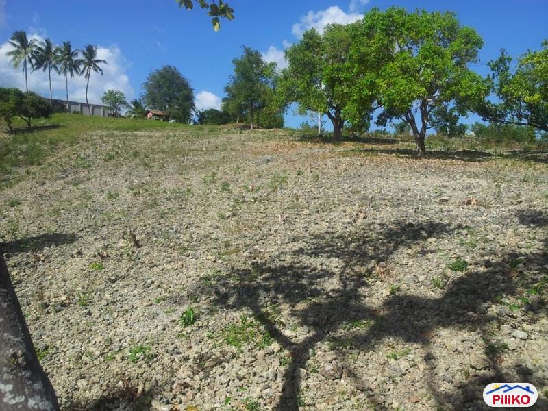 Residential Lot for sale in Talisay in Cebu