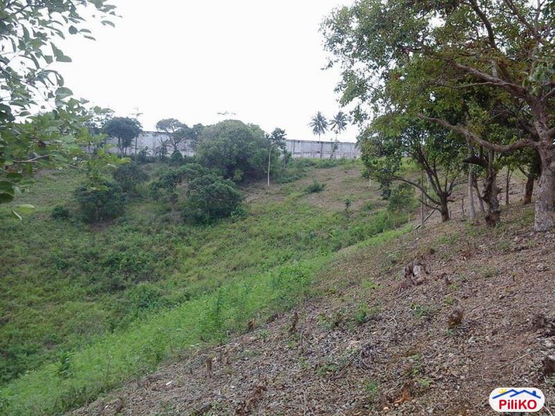 Residential Lot for sale in Talisay in Cebu