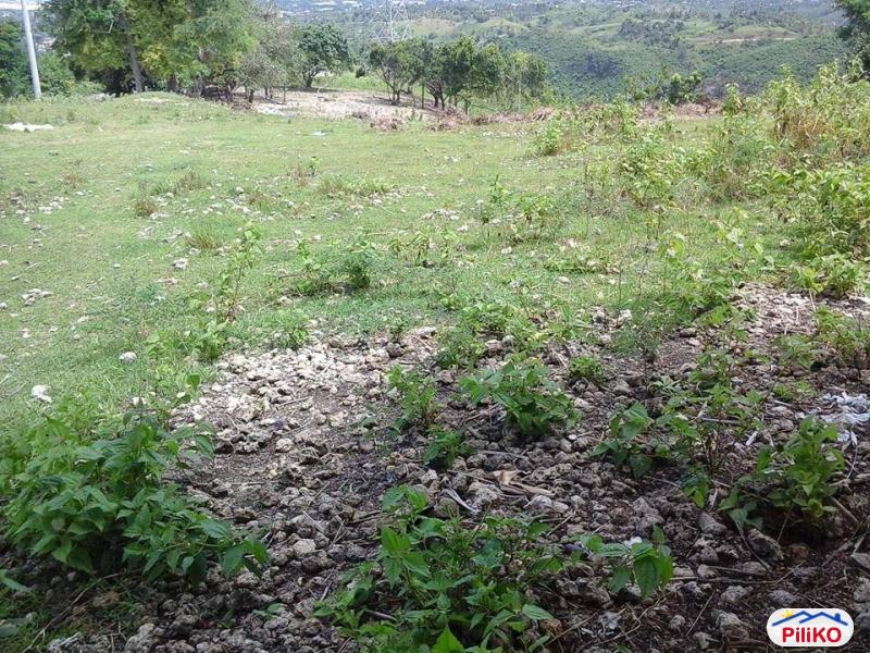 Residential Lot for sale in Talisay - image 3