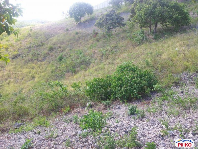 Residential Lot for sale in Talisay in Cebu