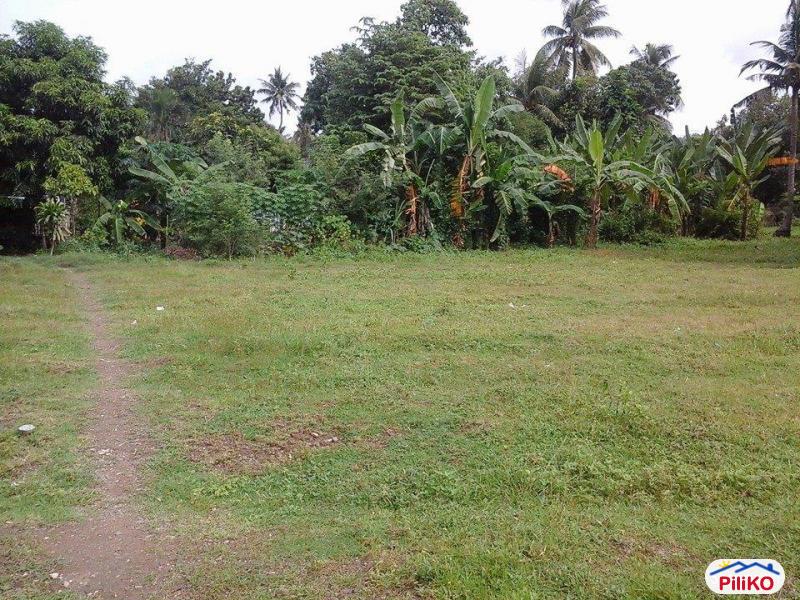 Residential Lot for sale in Talisay in Cebu