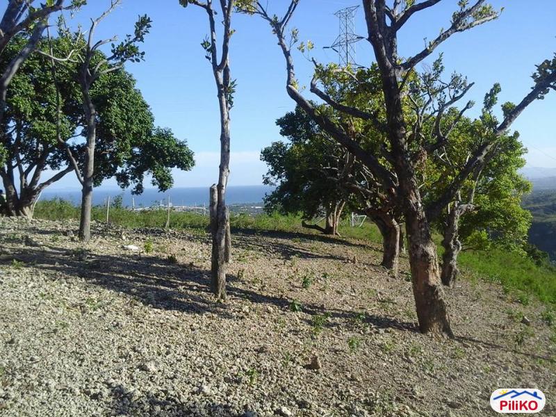Residential Lot for sale in Talisay - image 3