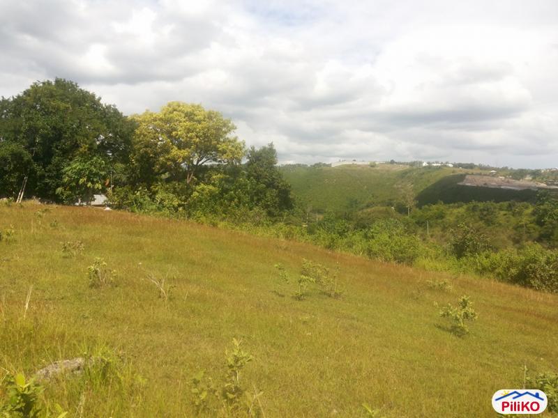 Residential Lot for sale in Talisay in Cebu