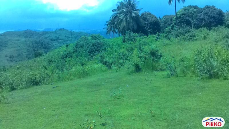 Residential Lot for sale in Talisay in Cebu