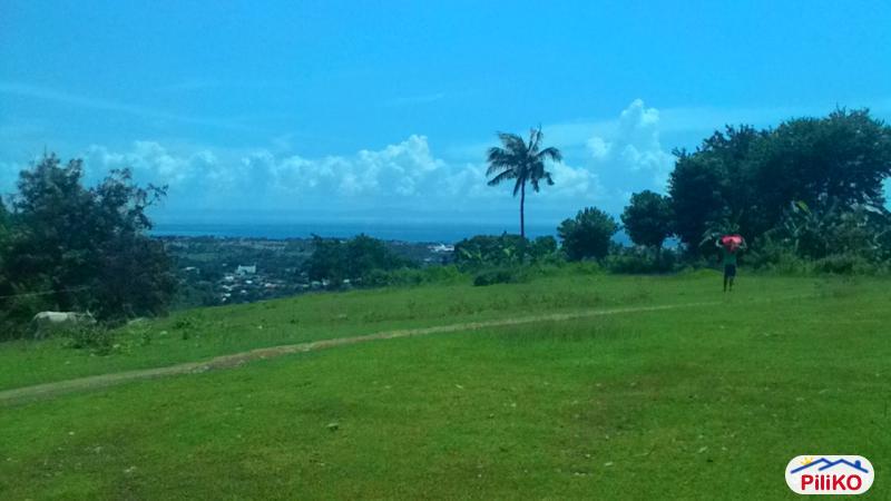 Residential Lot for sale in Talisay in Cebu