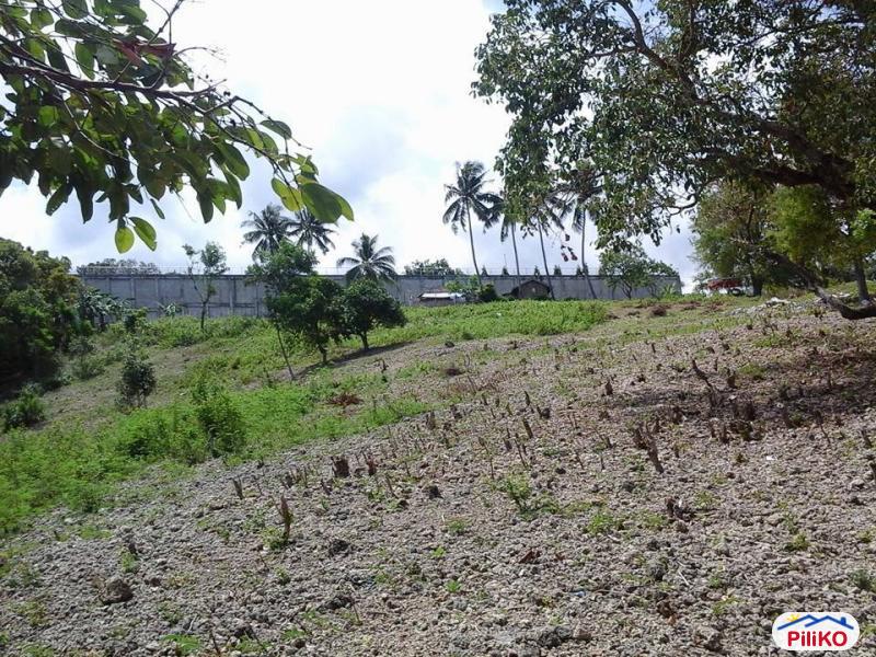 Residential Lot for sale in Talisay - image 4