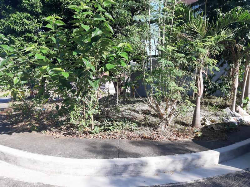 Residential Lot for sale in Antipolo